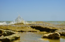 Хутор Рожок 