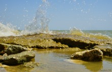 Хутор Рожок 