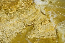 Хутор Рожок 