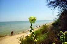 Хутор Рожок 