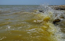 Хутор Рожок 