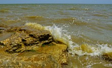 Хутор Рожок 