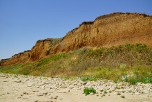 Хутор Рожок 