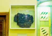 Ростовские чопики