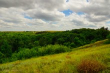 Крыница в Осиновой балке