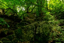 Крыница в Осиновой балке