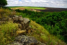 Крыница в Осиновой балке