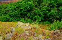 Крыница в Осиновой балке