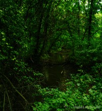 Крыница в Осиновой балке