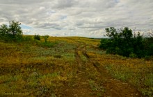 Крыница в Осиновой балке