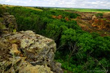 Крыница в Осиновой балке