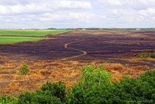 Крыница в Осиновой балке