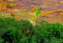 Крыница в Осиновой балке