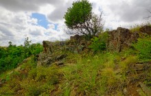 Крыница в Осиновой балке