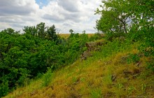 Крыница в Осиновой балке