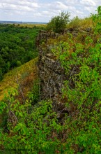 Крыница в Осиновой балке