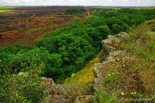 Крыница в Осиновой балке