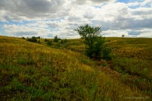 Крыница в Осиновой балке