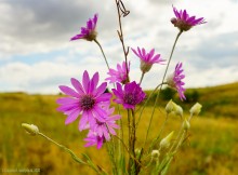 Крыница в Осиновой балке