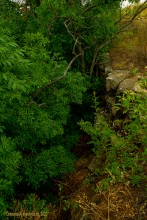 Крыница в Осиновой балке