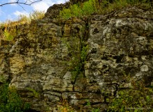 Крыница в Осиновой балке