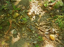 Прогулка по маршруту Детской железной дороги в парке им. Н. Островского в Ростове-на-Дону