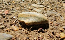 Прогулка по маршруту Детской железной дороги в парке им. Н. Островского в Ростове-на-Дону