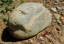 Прогулка по маршруту Детской железной дороги в парке им. Н. Островского в Ростове-на-Дону