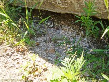 Прогулка по маршруту Детской железной дороги в парке им. Н. Островского в Ростове-на-Дону