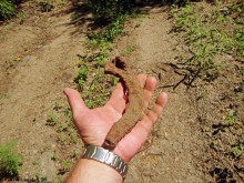Прогулка по маршруту Детской железной дороги в парке им. Н. Островского в Ростове-на-Дону