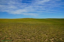 Аладины бугры у хутора Белогородцев