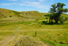 Музей в почтовой станции хутора Белогородцев и рассказ Л.Н. Толстого "Метель"