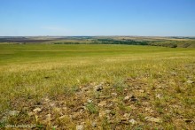 Музей в почтовой станции хутора Белогородцев и рассказ Л.Н. Толстого "Метель"