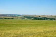 Музей в почтовой станции хутора Белогородцев и рассказ Л.Н. Толстого "Метель"