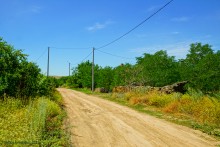 Музей в почтовой станции хутора Белогородцев и рассказ Л.Н. Толстого "Метель"