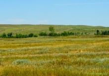 Музей в почтовой станции хутора Белогородцев и рассказ Л.Н. Толстого "Метель"