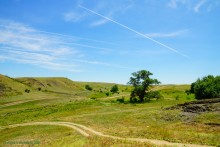 Музей в почтовой станции хутора Белогородцев и рассказ Л.Н. Толстого "Метель"
