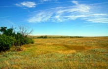 Музей на древнем почтовом тракте в хуторе Белогородцев