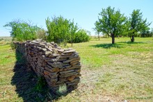 Музей на древнем почтовом тракте в хуторе Белогородцев