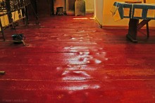 Музей на древнем почтовом тракте в хуторе Белогородцев