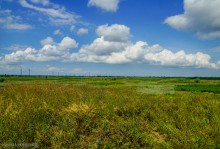 Цепь древних Алитубских курганов на ерике Подпольном.