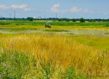Цепь древних Алитубских курганов на ерике Подпольном.