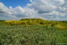 Цепь древних Алитубских курганов на ерике Подпольном.