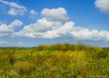 Цепь древних Алитубских курганов на ерике Подпольном.