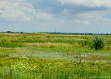 Цепь древних Алитубских курганов на ерике Подпольном.