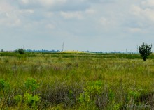 Цепь древних Алитубских курганов на ерике Подпольном.