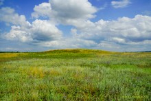 Цепь древних Алитубских курганов на ерике Подпольном.