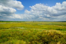 Цепь древних Алитубских курганов на ерике Подпольном.