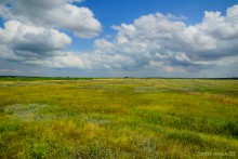 Цепь древних Алитубских курганов на ерике Подпольном.