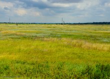 Цепь древних Алитубских курганов на ерике Подпольном.